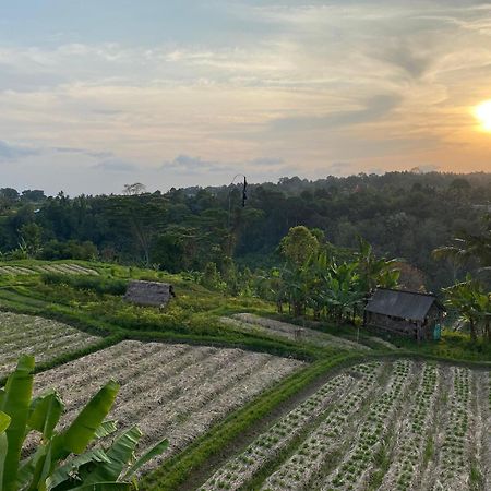 Gj Guest House Sidemen Sidemen  Bagian luar foto