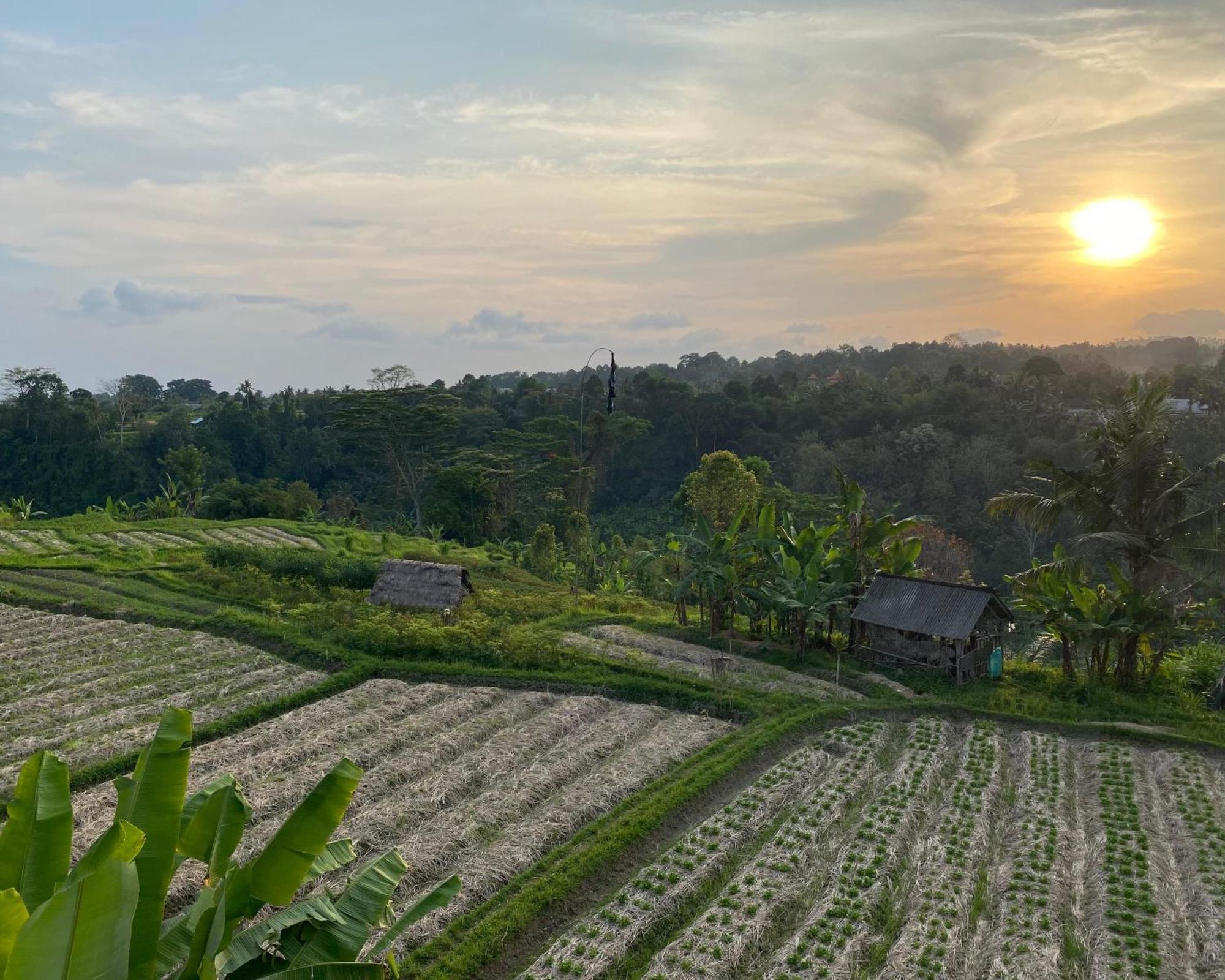 Gj Guest House Sidemen Sidemen  Bagian luar foto